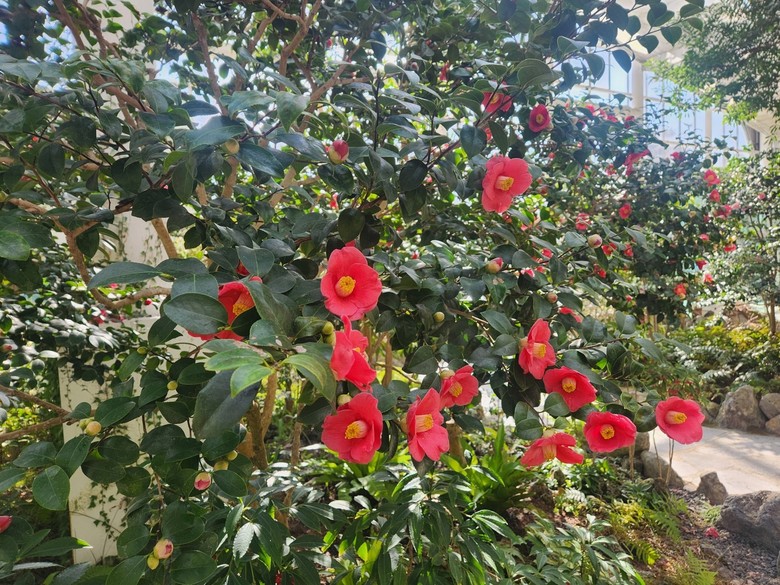 남해안까지 갈 필요 있나요? 여주 황...