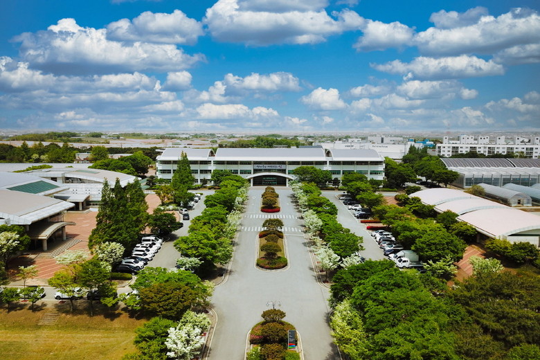 봄철 시비관리로 오디 품질 높이세요