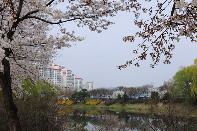 구리시, ‘벚꽃 아래 사회적경제 팝업...