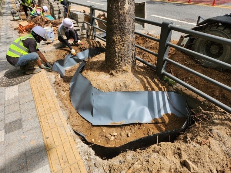 수원특례시, 가로수 뿌리융기 전수조사...