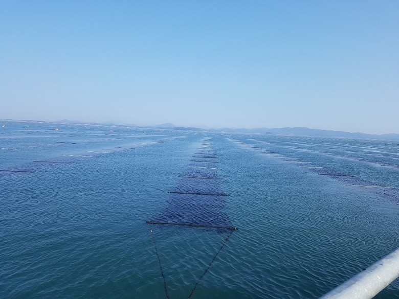 탄소 잡는 ‘검은 반도체’ 저감량 밝...